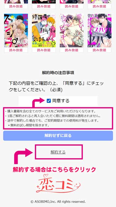 「解約時の注意事項」に同意の上で［解約する］をクリックして解約を完了します